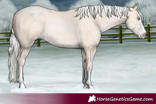 Horse Color:Silver Amber Cream Champagne Pearl