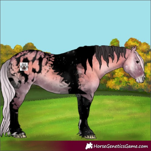 Horse Color:Void Watercolor Silver Grullo Onyx Tobiano Appaloosa 