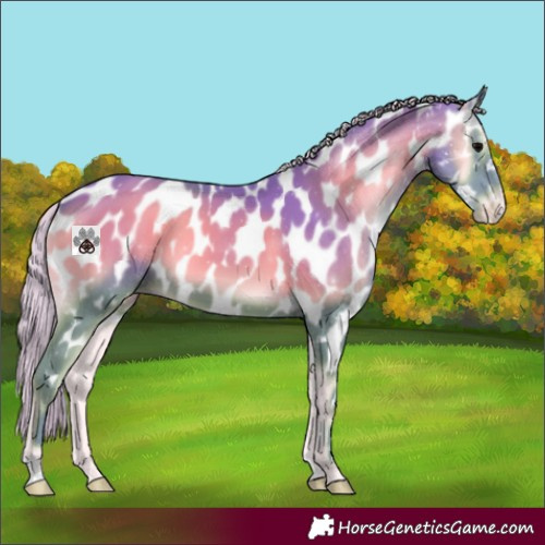 Horse Color:Watercolor Silver Blue Onyx Appaloosa