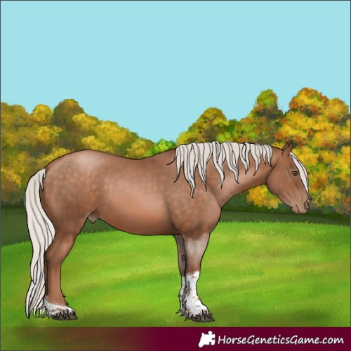 Horse Color:Silver Brown Pearl Tobiano 