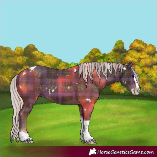 Horse Color:Plaid White Spotted Silver Brown Splash Tobiano