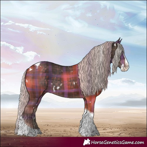 Horse Color:Plaid White Spotted Silver Brown Splash Tobiano