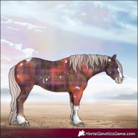 Horse Color:Plaid White Spotted Silver Brown Splash Tobiano
