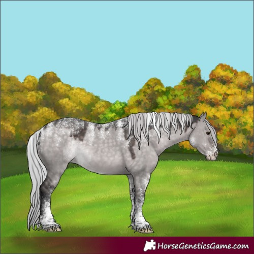 Horse Color:Powder White Platinum Silver Brown Dun Rabicano