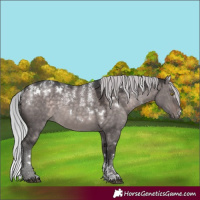 Horse Color:Powder White Platinum White Spotted Silver Brown Dun Rabicano 