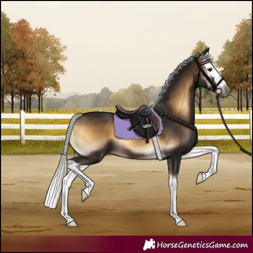 Horse Color:Gray White Spotted Silver Bay Onyx Splash