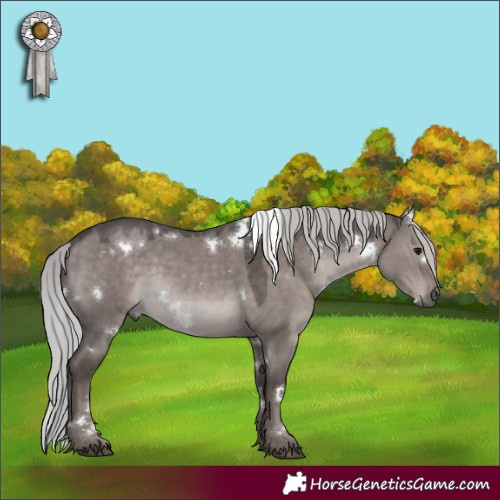 Horse Color:Platinum White Spotted Silver Grullo Rabicano 
