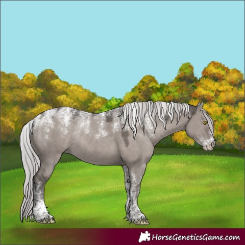 Horse Color:Powder White Platinum Silver Grullo Rabicano 