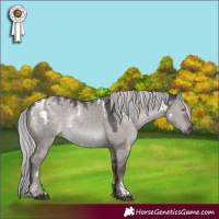 Horse Color:Powder White Platinum White Spotted Silver Grullo Rabicano