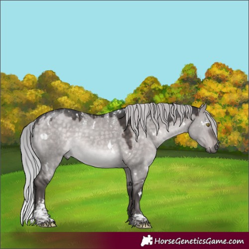 Horse Color:Powder White Platinum White Spotted Silver Brown Dun Rabicano 
