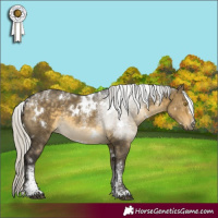Horse Color:Powder White White Spotted Silver Buckskin Dun Rabicano