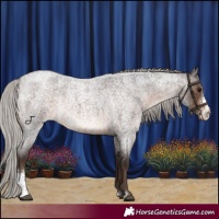 Horse Color:Silver Brown Roan Sabino Rabicano 