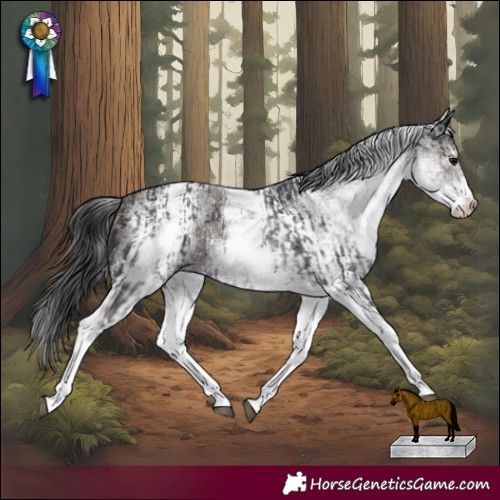 Horse Color:White Spotted Black Rabicano and White Spotted Smoky Grullo