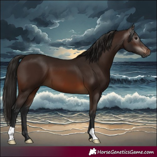 Horse Color:Gray Bay 