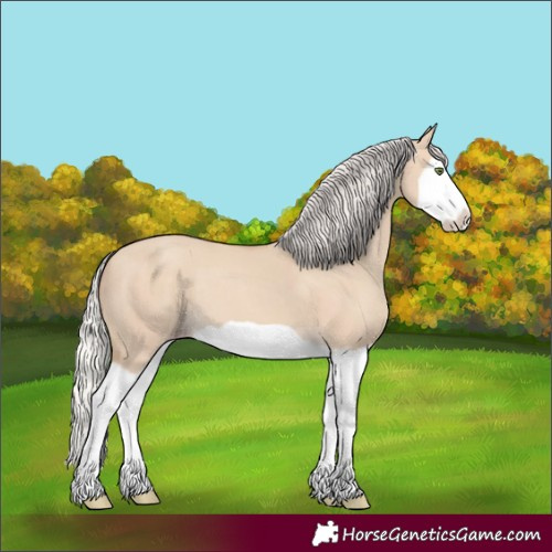 Horse Color:Silver Classic Champagne Dun Splash Frame 