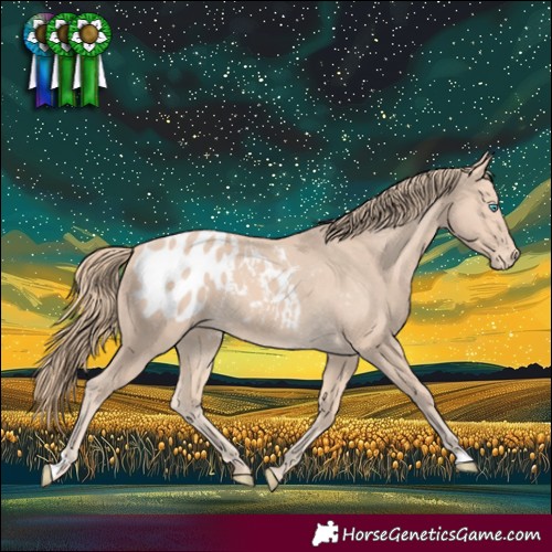 Horse Color:Perlino Blanket 