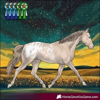 Horse Color:Perlino Blanket 