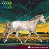 Horse Color:Perlino Blanket