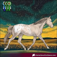 Horse Color:Perlino Blanket 