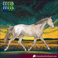 Horse Color:Perlino Blanket