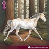 Horse Color:White Spotted Palomino Dun Frame 