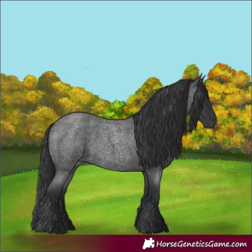Horse Color:Blue Roan 