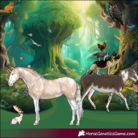 Horse Color:White Spotted Silver Classic Champagne Pearl Splash Appaloosa