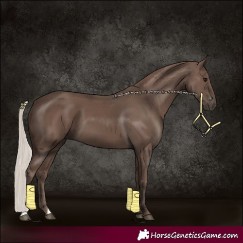 Horse Color:Silver Black
