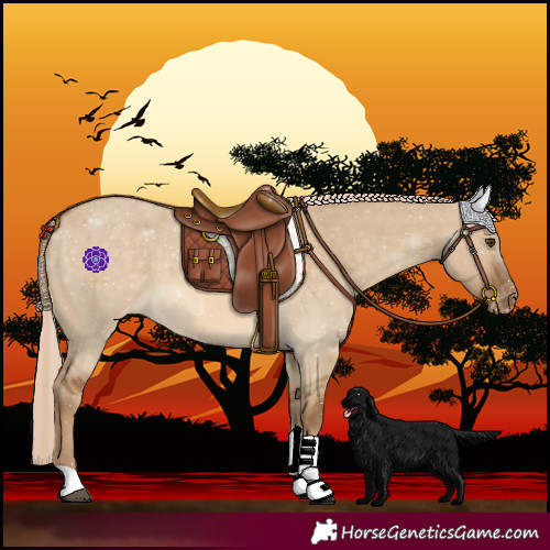 Horse Color:Chocolate Palomino Dun Varnish
