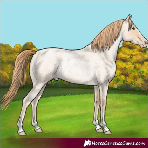 Horse Color:Smoky Blue Roan Pearl