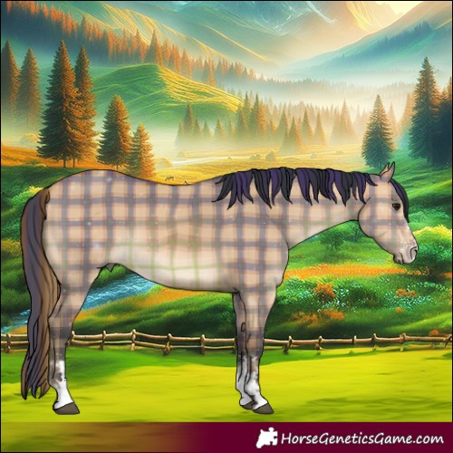 Horse Color:Plaid  Bay Dun Sabino 