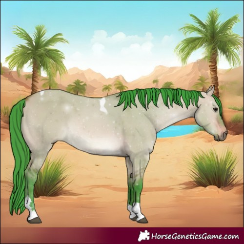 Horse Color:Unknown 