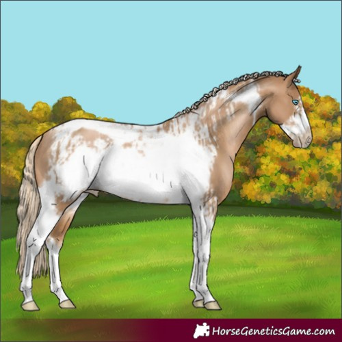 Horse Color:Chocolate Palomino Pearl Tobiano Frame and Chocolate Palomino Pearl Tobiano Frame