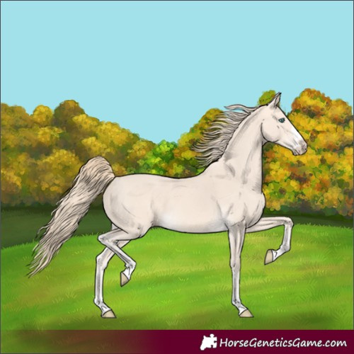 Horse Color:Perlino