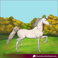 Horse Color:Perlino 