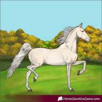 Horse Color:Palomino Pearl