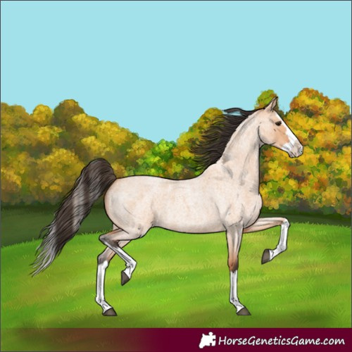 Horse Color:Bay Roan Dun Splash 