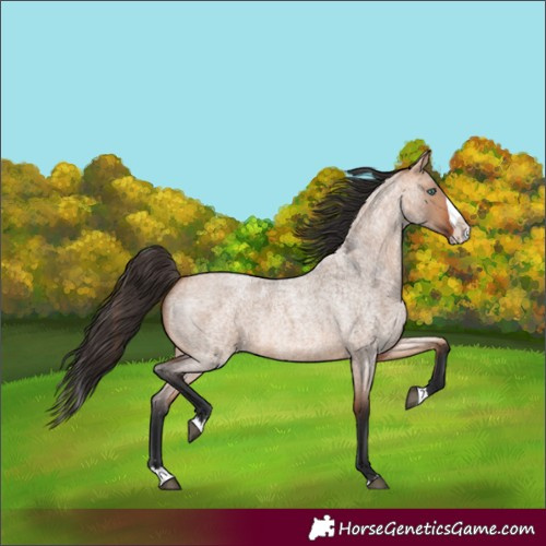 Horse Color:Bay Roan Dun Splash