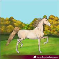 Horse Color:Smoky Black Pearl