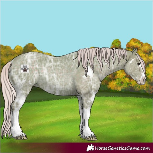 Horse Color:Watercolor Silver Black Ice Sabino Rabicano