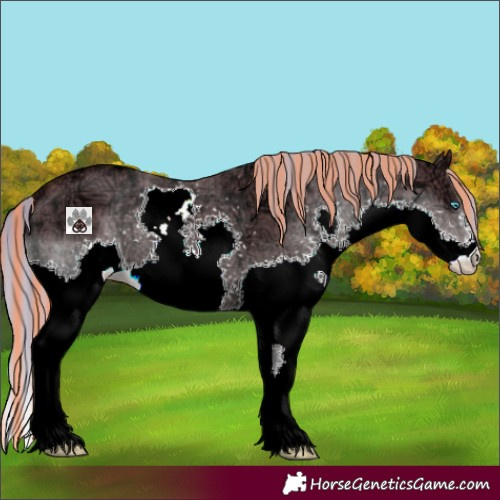 Horse Color:Painted Silver Brown Ice Dun Splash