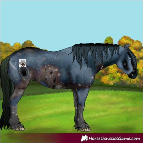 Horse Color:ERROR: UNKNOWN ANOMALY