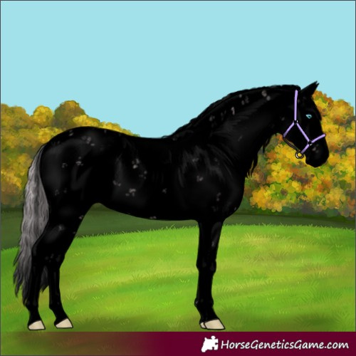 Horse Color:Void Watercolor Chocolate Palomino Pearl Dun Sabino 