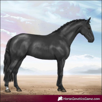 Horse Color:Black Rabicano