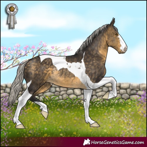Horse Color:Silver Buckskin Tobiano Rabicano