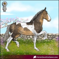 Horse Color:Silver Buckskin Tobiano Rabicano 