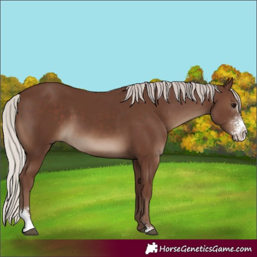 Horse Color:Silver Black Sabino 