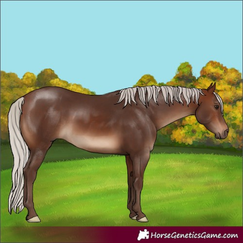 Horse Color:Silver Brown 
