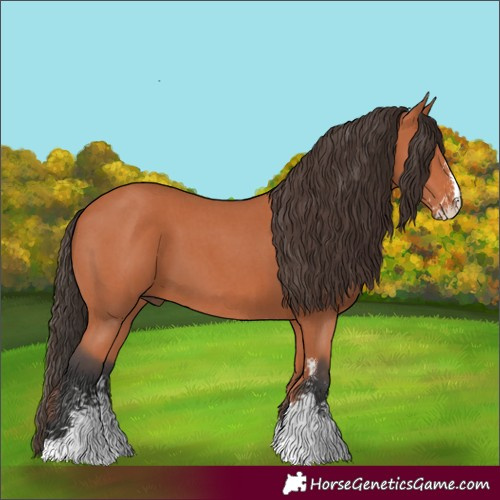 Horse Color:Bay Sabino 