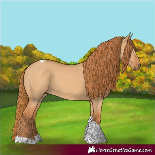 Horse Color:Red Dun Tobiano Rabicano